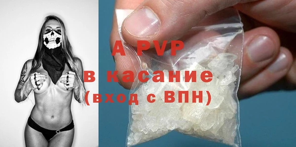прущие грибы Дмитров
