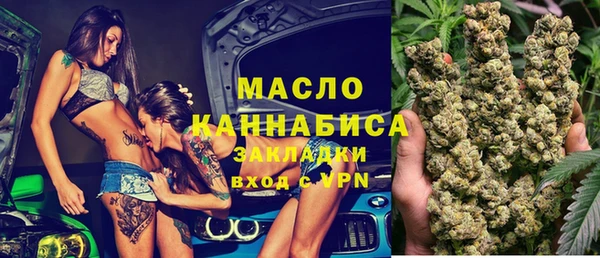 прущие грибы Дмитров