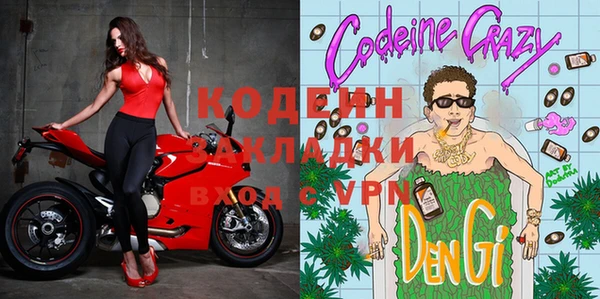 прущие грибы Дмитров