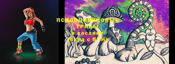 прущие грибы Дмитров