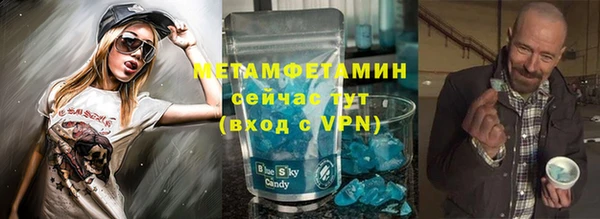 прущие грибы Дмитров