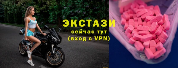 стаф Дмитриев
