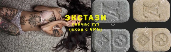стаф Дмитриев