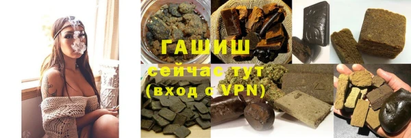 прущие грибы Дмитров