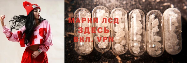 прущие грибы Дмитров